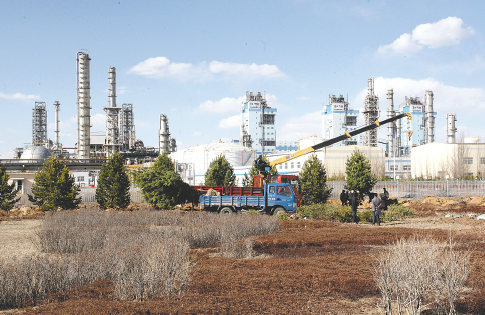 7m足球比分数据展示